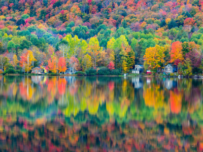 лес, дома, озеро, осень, отражение