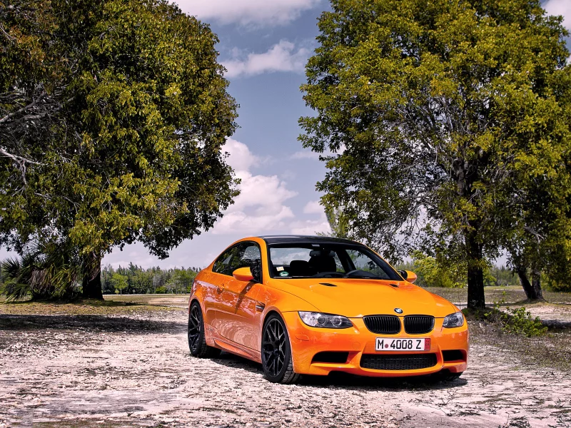 Прерии, деревья, авто, BMW