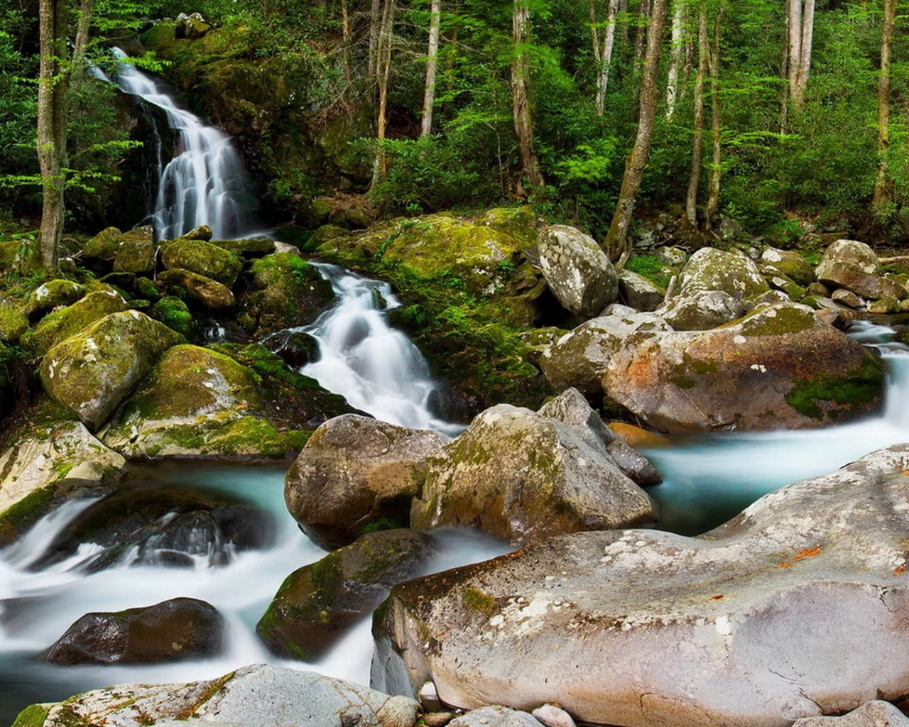 природа, речка, камни, деревья