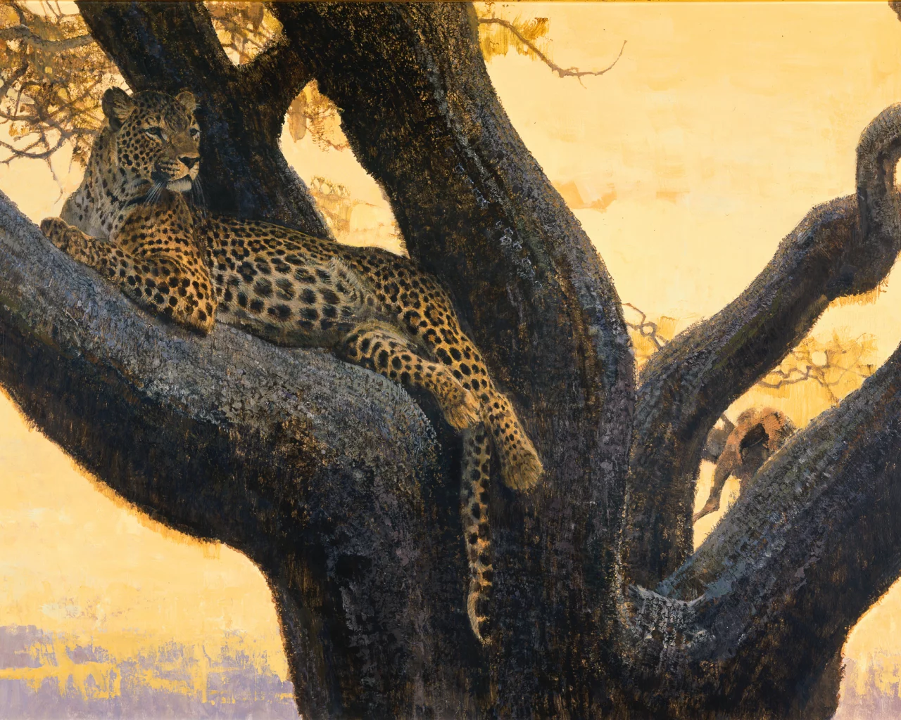 bob kuhn, дикая, хищник, картина, кошка, пятна, леопард, арт