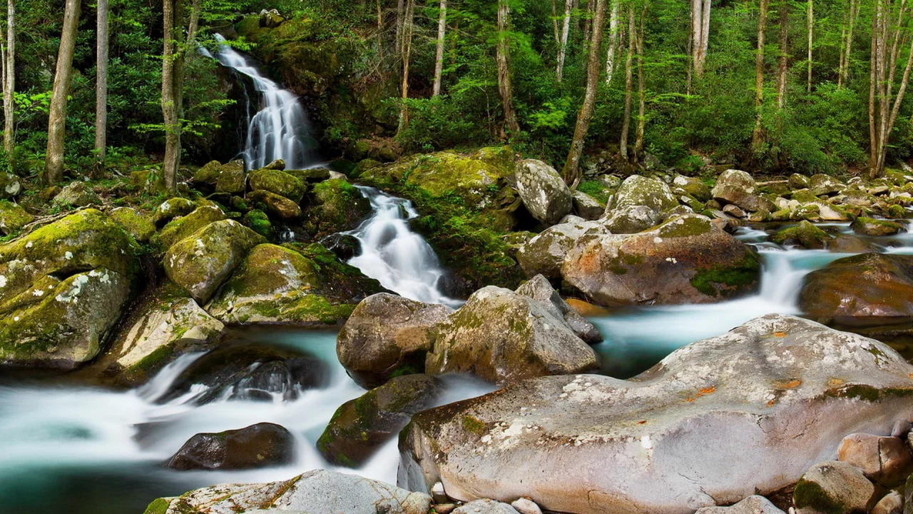 природа, речка, камни, деревья