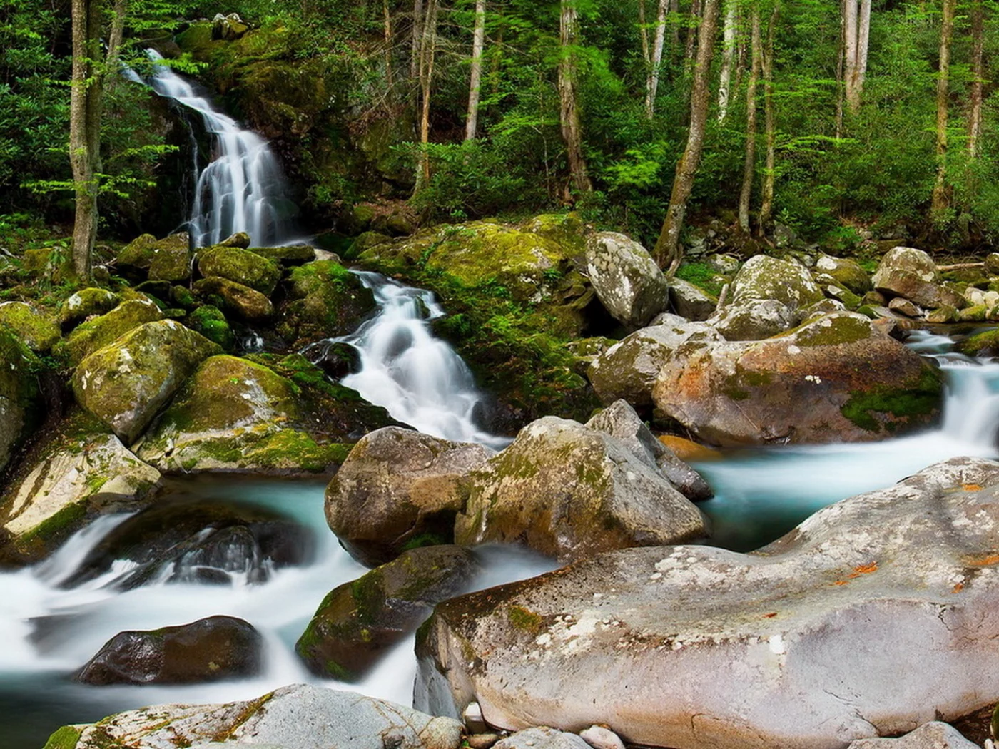 природа, речка, камни, деревья