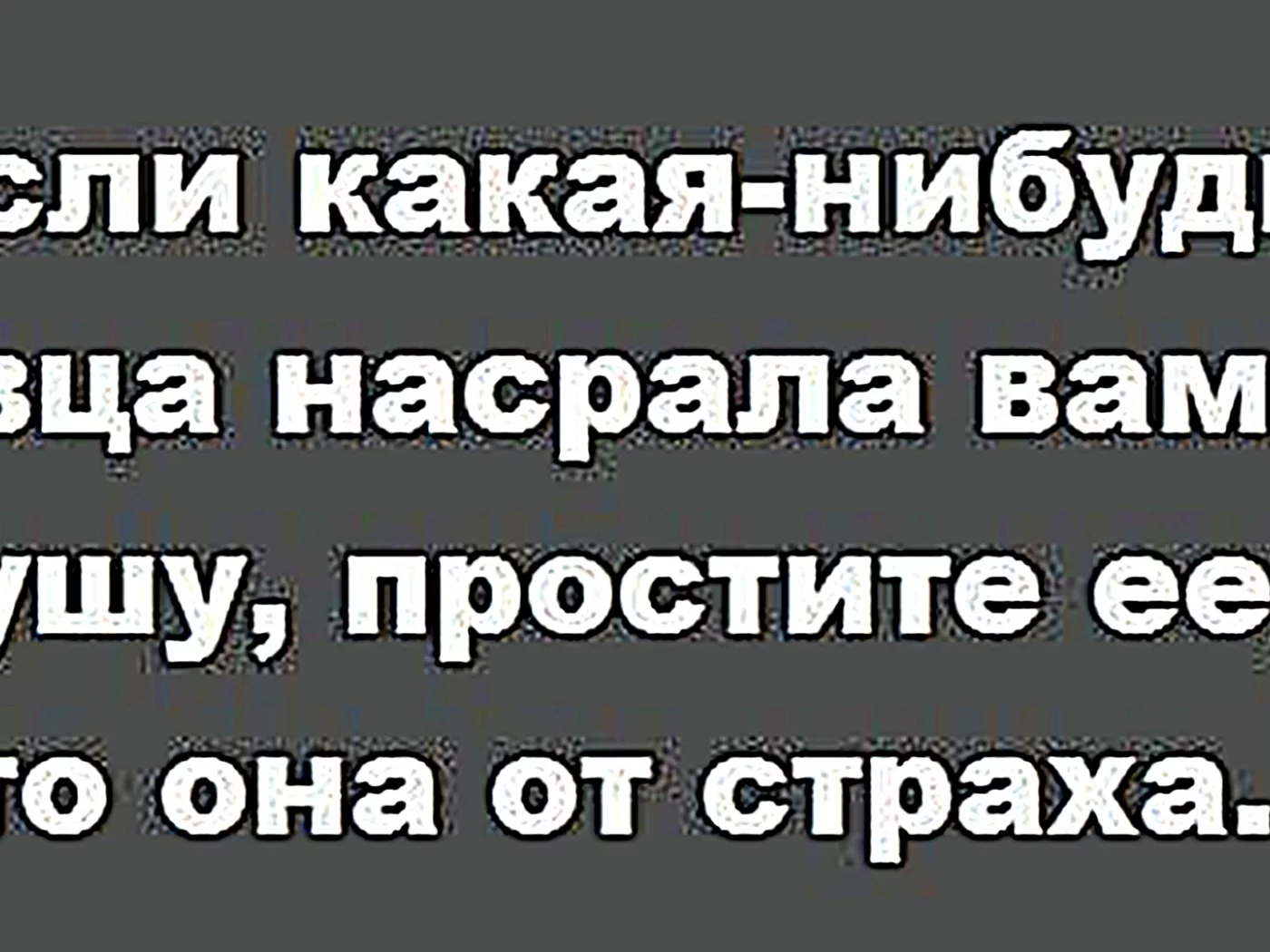 ВЫСКАЗЫВАНИЯ, АФОРИЗМЫ