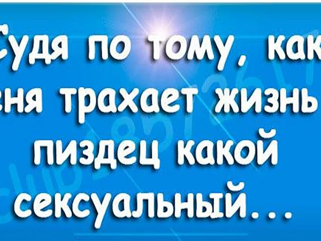 высказывания, афоризмы