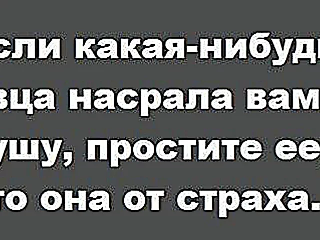 ВЫСКАЗЫВАНИЯ, АФОРИЗМЫ