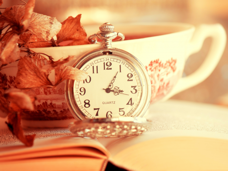 book, time, cup, время, часы, leaves, dial, циферблат, книга, clock