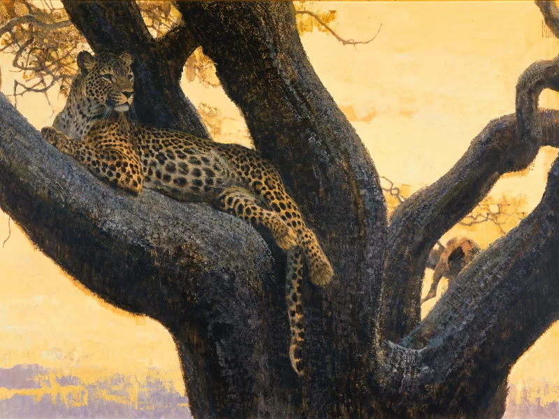 bob kuhn, дикая, хищник, картина, кошка, пятна, леопард, арт