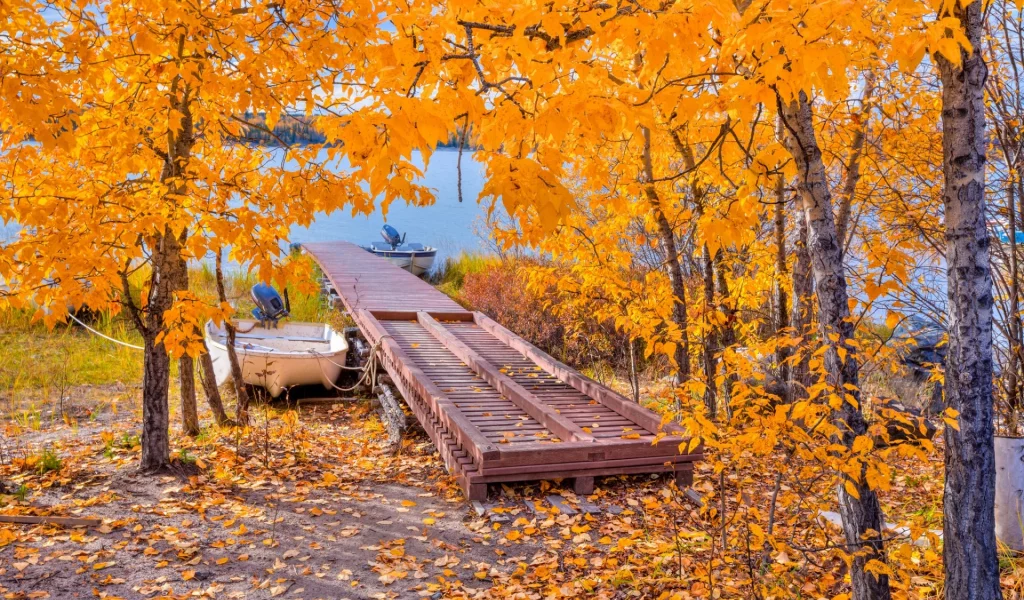 осень, деревья, мостик, озеро, лодка, листья