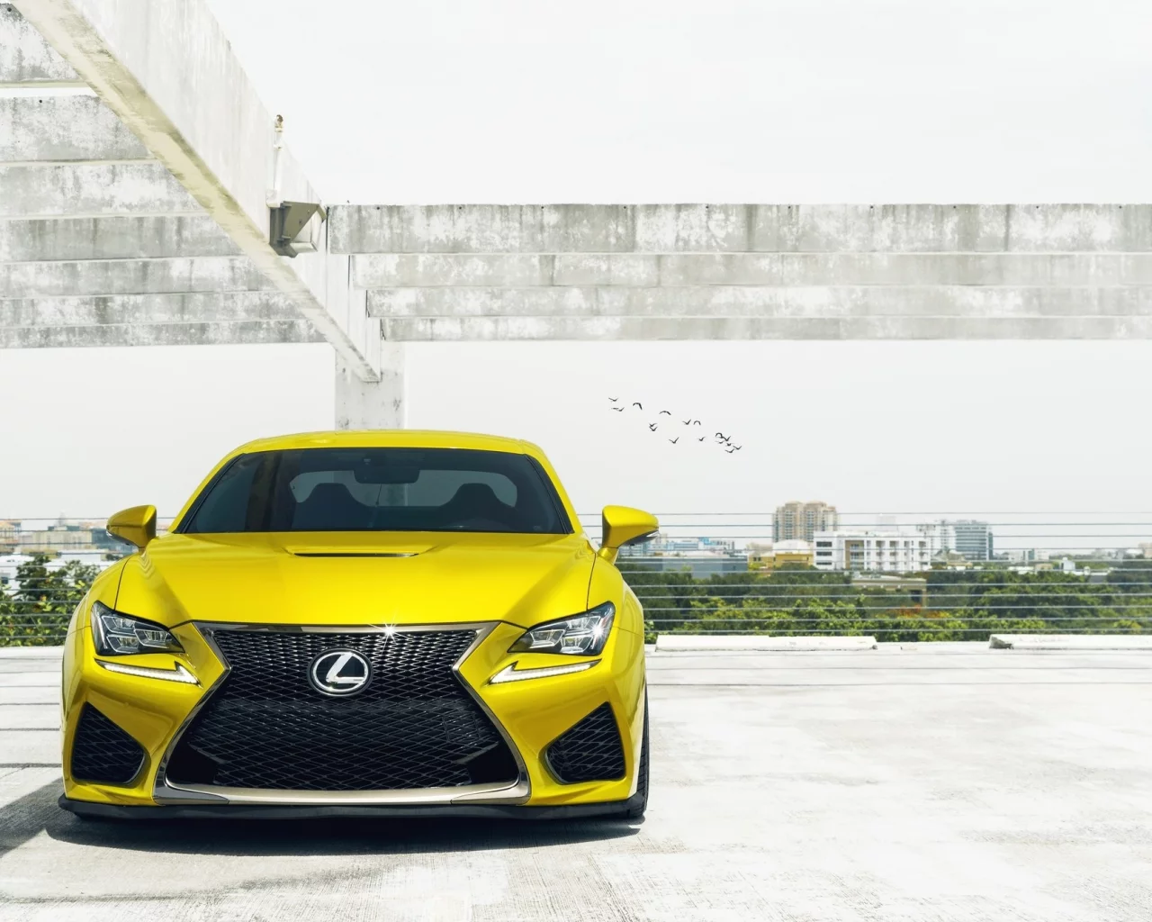 lexus, желтый