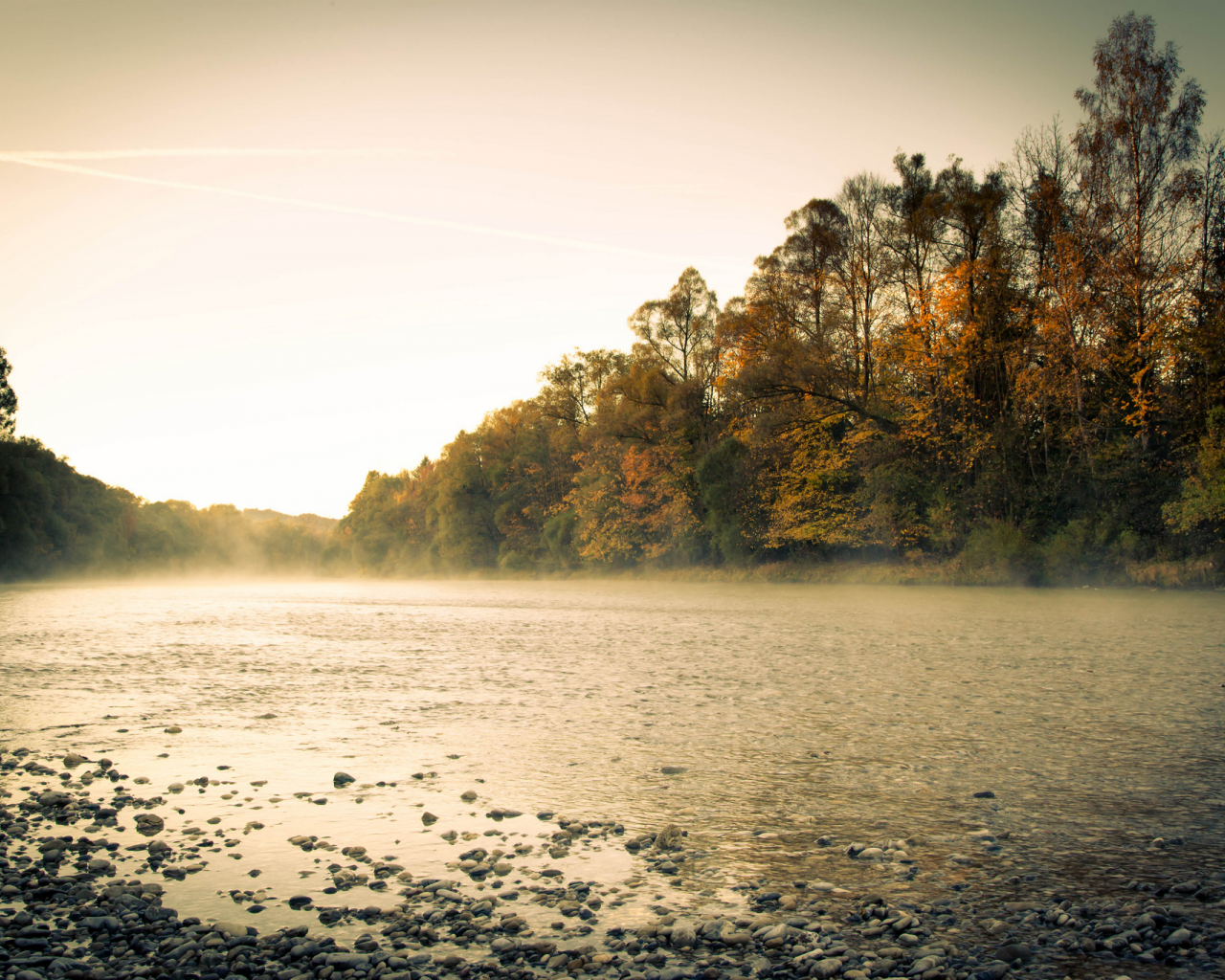 утро, река, осень, туман, лес