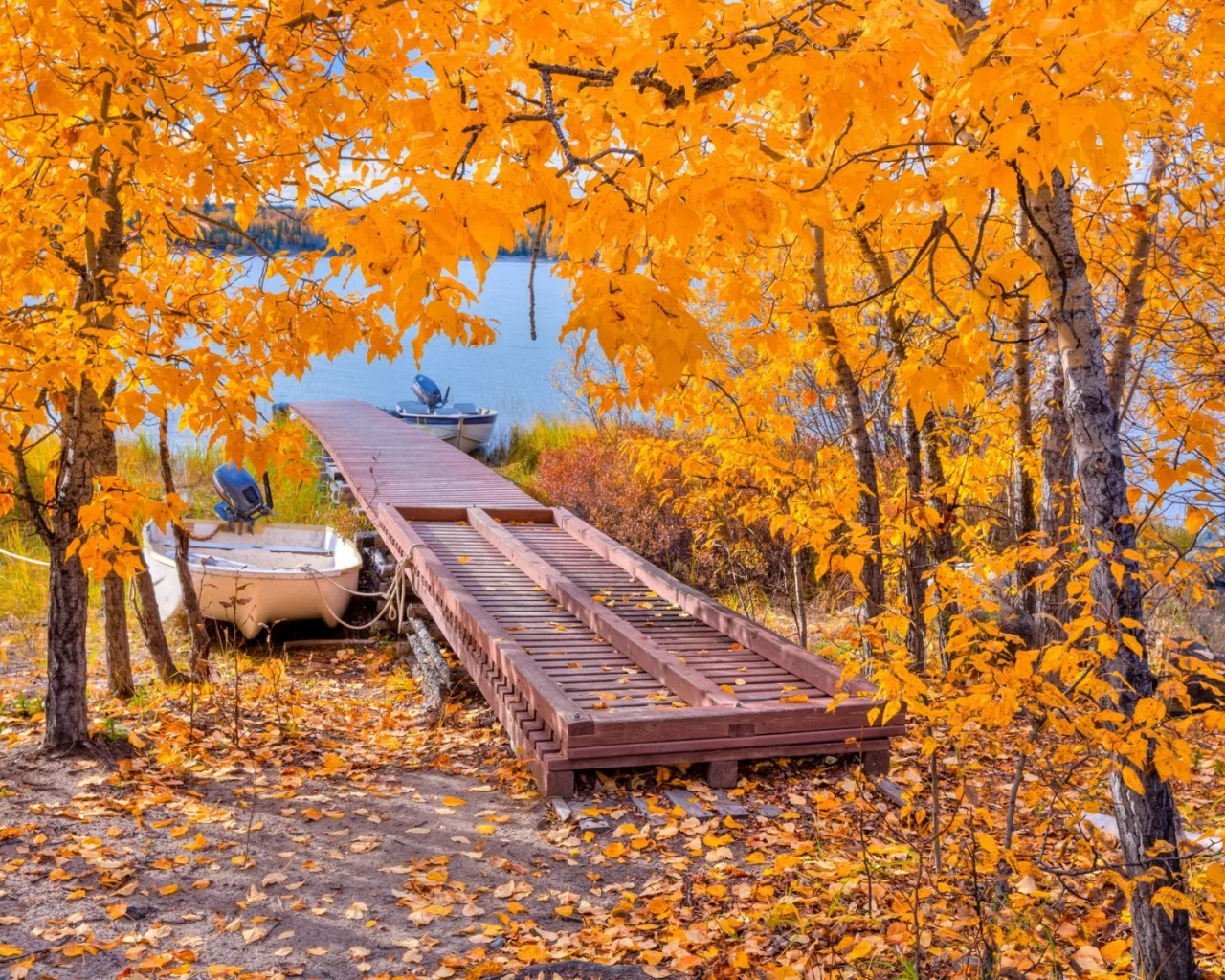осень, деревья, мостик, озеро, лодка, листья