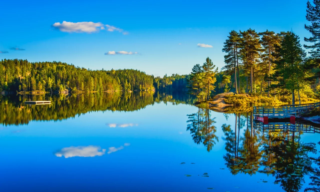 небо, лес, озеро