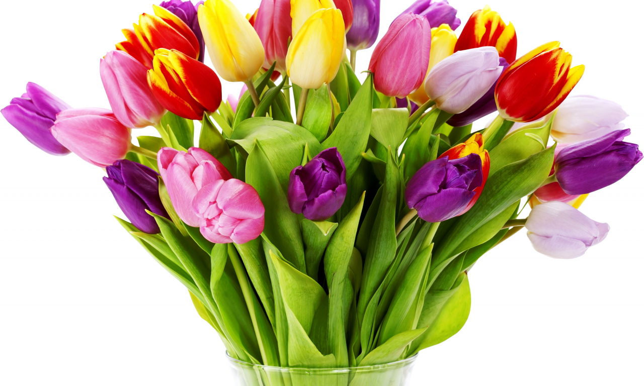 природа, цветок, цветы, тюльпаны, тюльпан, весна, букет