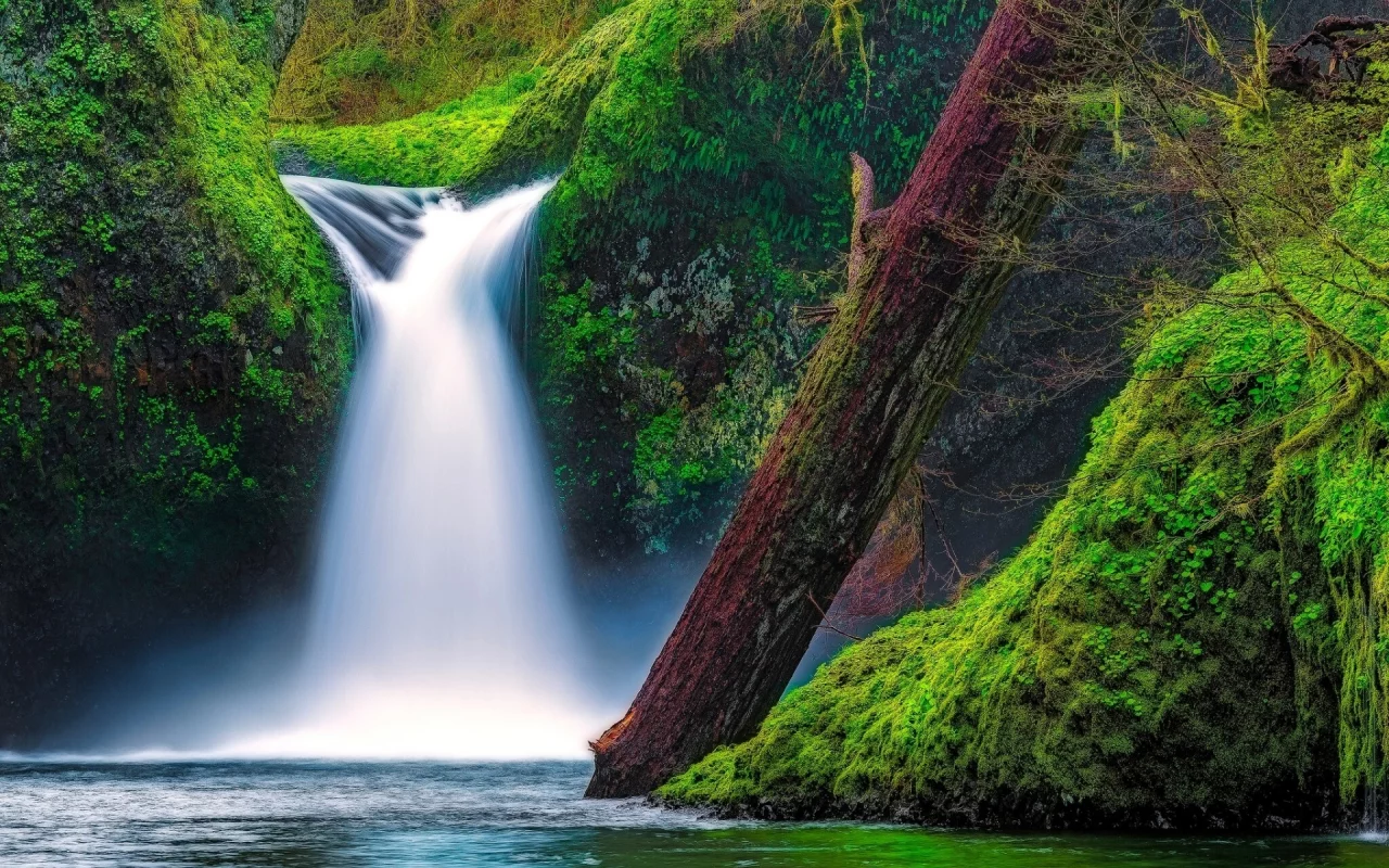 Punch Bowl Falls, Eagle Creek, Columbia River Gorge, Oregon, водопад Панчбоул, ущелье реки Колумбия, Орегон, водопад, река, мох, бревно