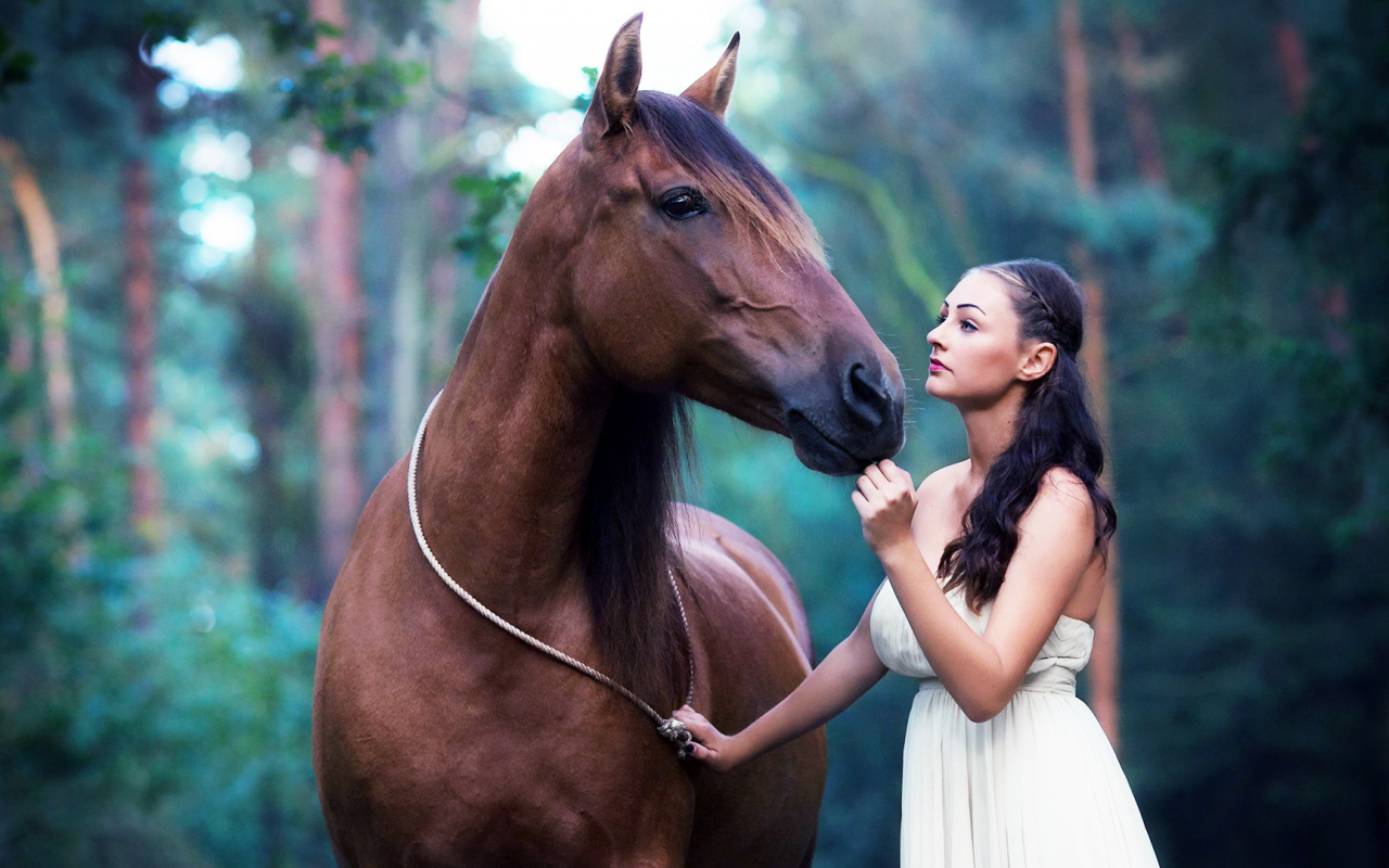 Девушка верхом на лошади. Добрая лошадь. Фотосессия с лошадью в платье. Картинки лошадей. Добра коня