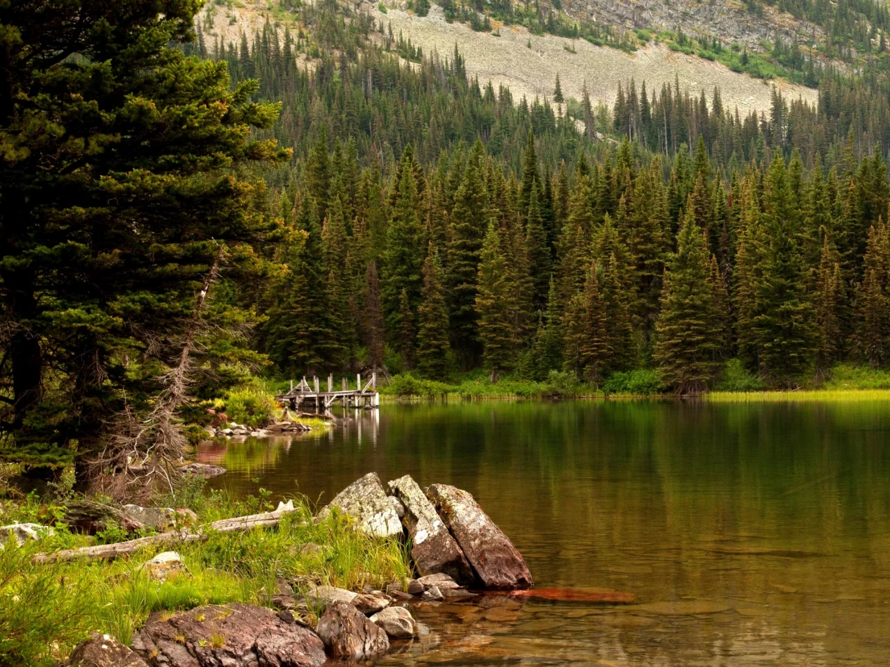 природа, лзеро, лес, камни