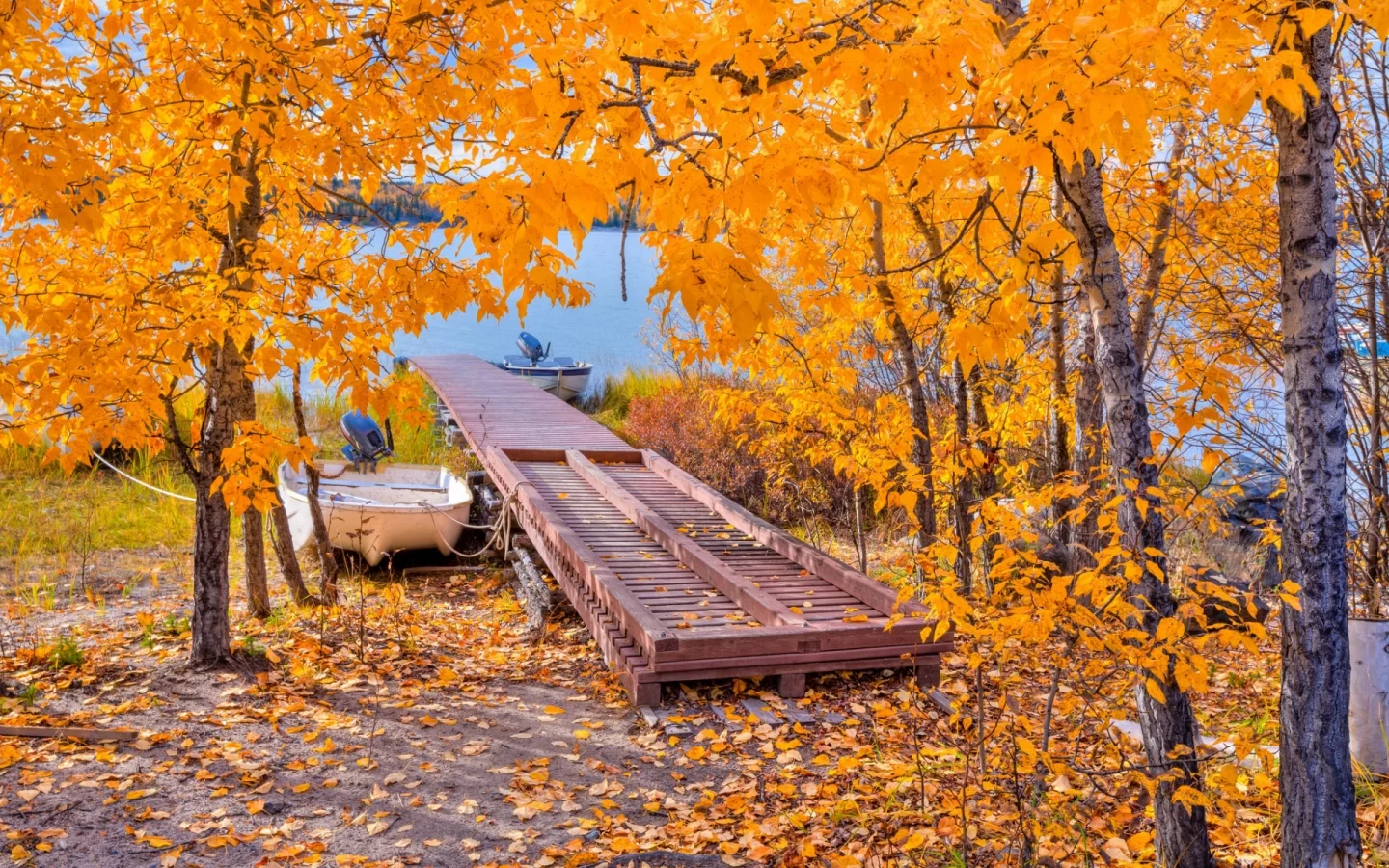 осень, деревья, мостик, озеро, лодка, листья