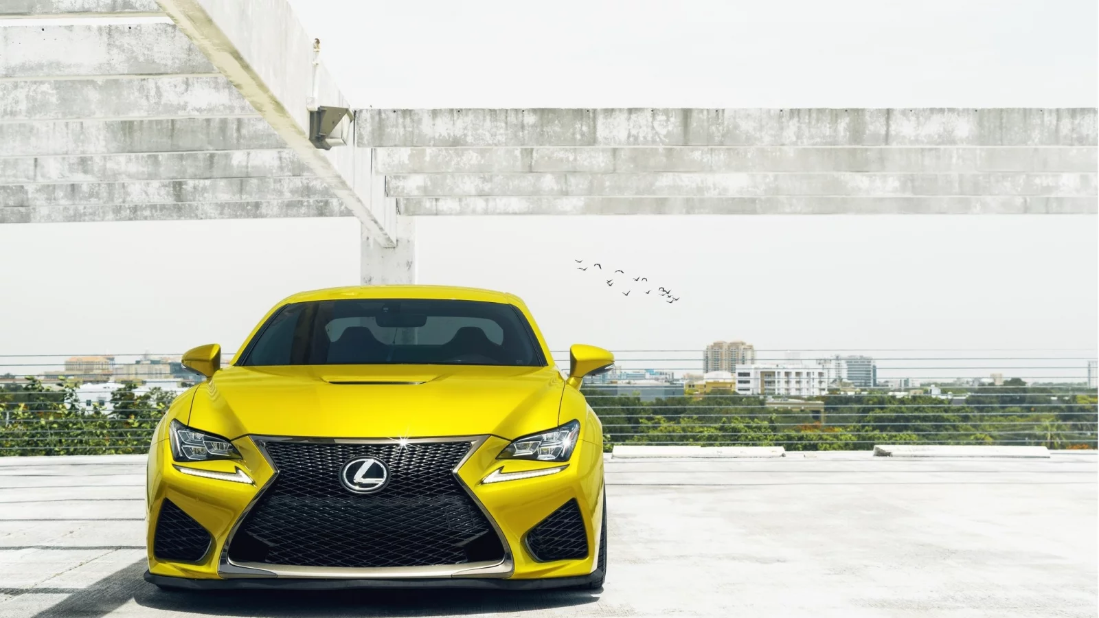 lexus, желтый