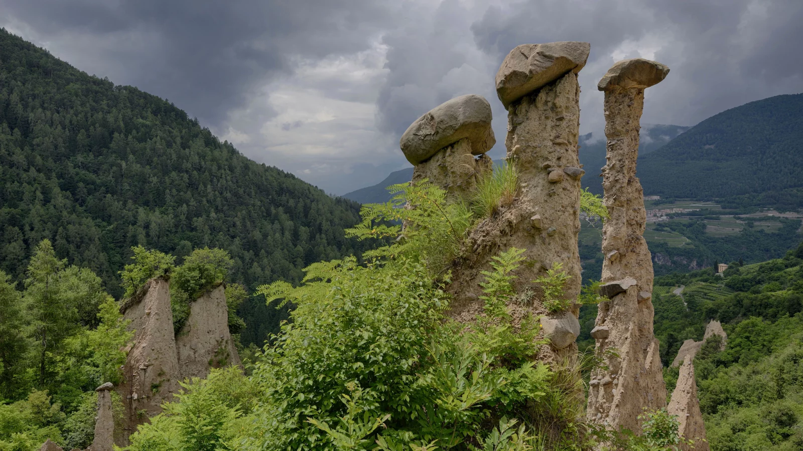 лес, скалы