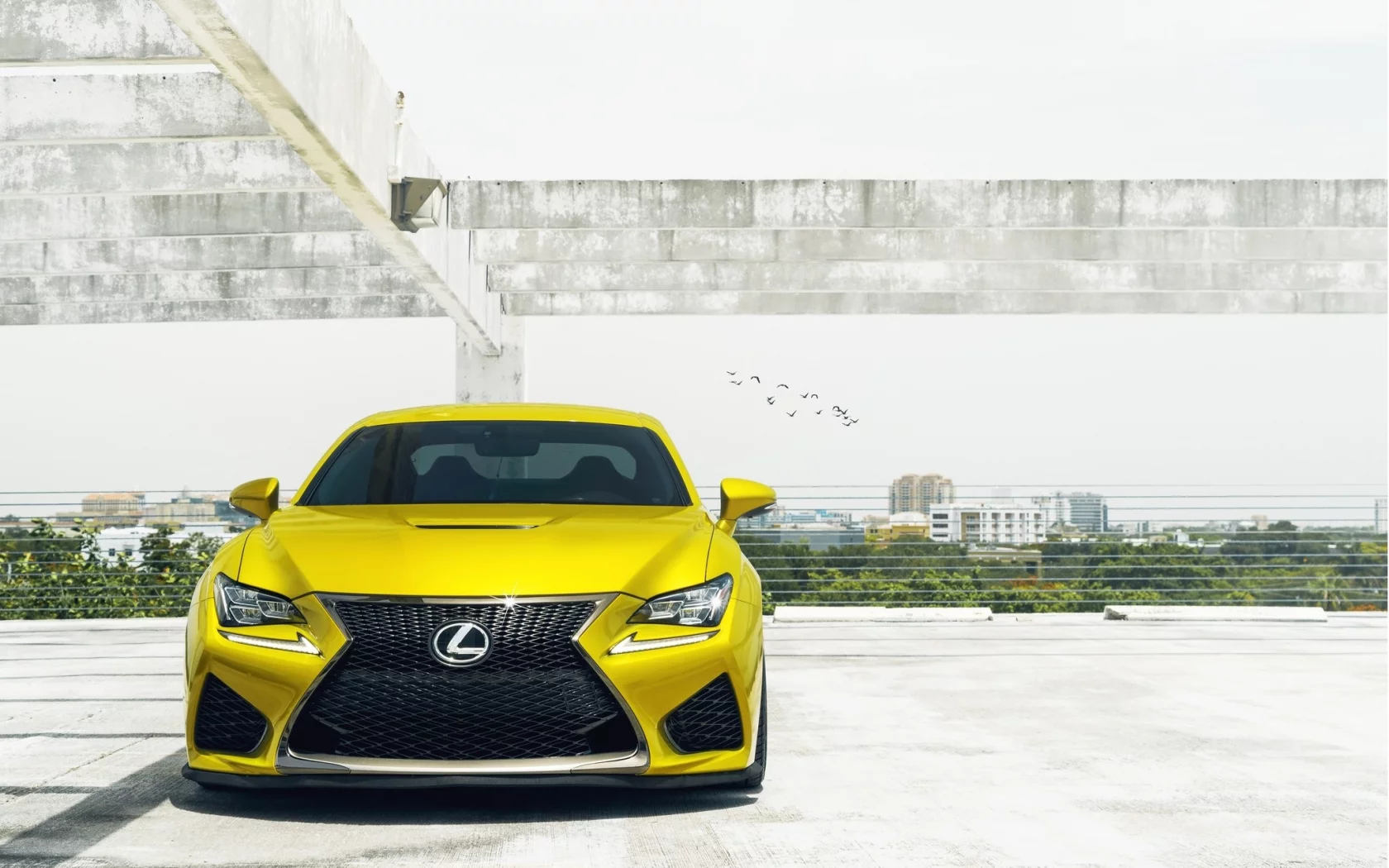 lexus, желтый