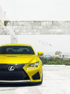 lexus, желтый
