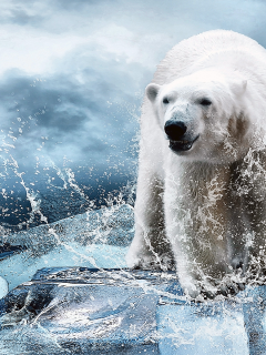 Лёд, вода, животное, зверь, медведь, белый.