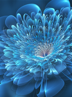 3D, Flower, Blue