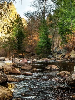 природа, реки, озера, горы, лес, река