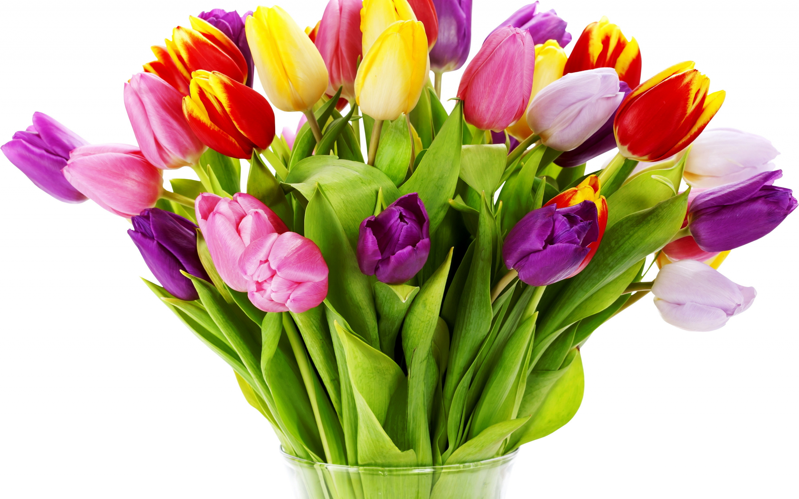природа, цветок, цветы, тюльпаны, тюльпан, весна, букет