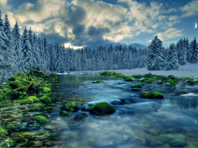 лес, поток, деревья, река, мох, снег, облака, небо, камни