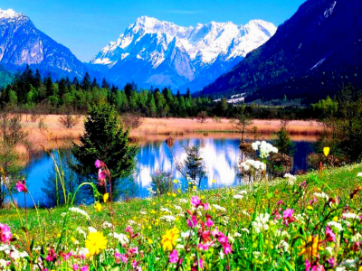 горы, цветы, озеро, луг