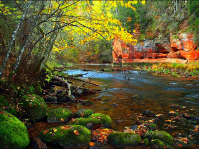 осень, лес, река