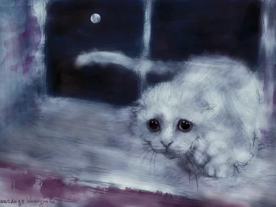 александр кожухов, кошка, взгляд, рисунок, арт, белая
