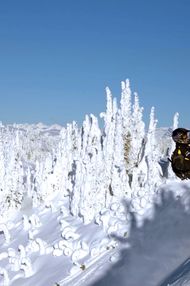 Зима, экстрим, снегоход.Ski-doo