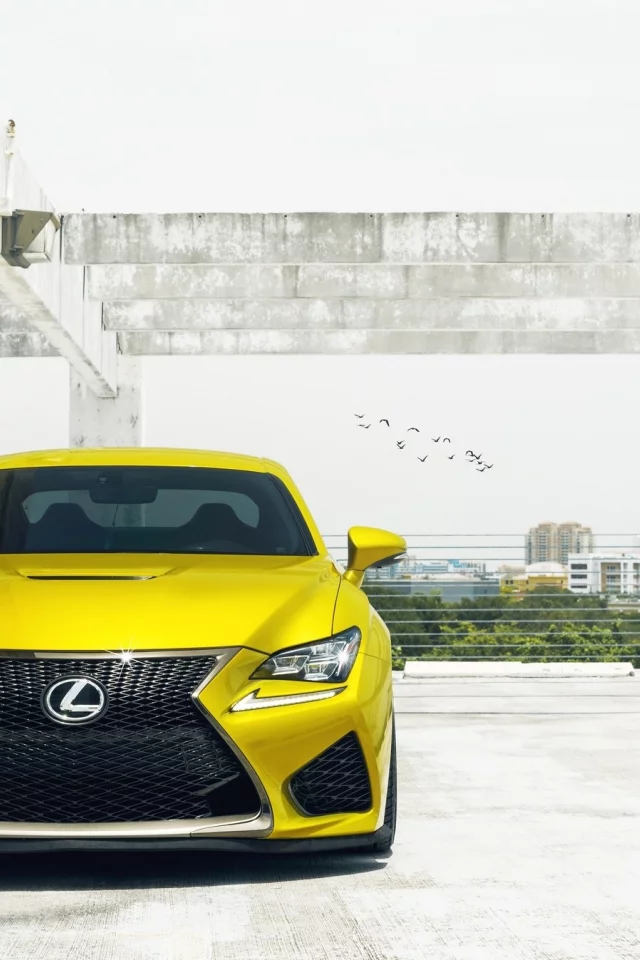 lexus, желтый