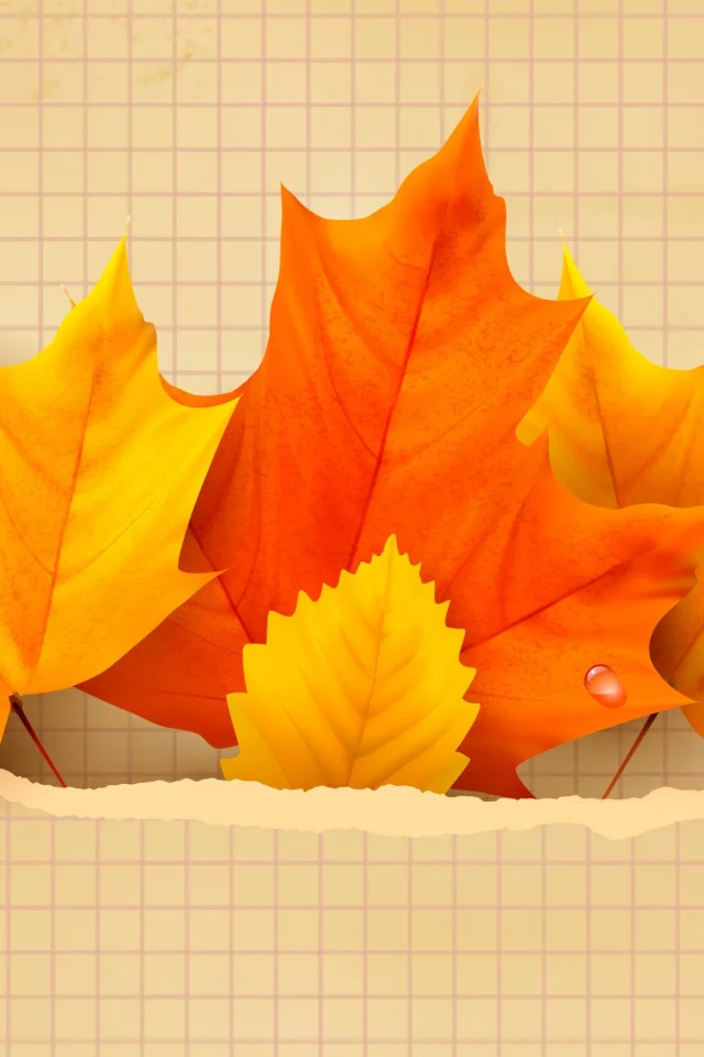autumn, leaves, maple, листья, осенние, фон
