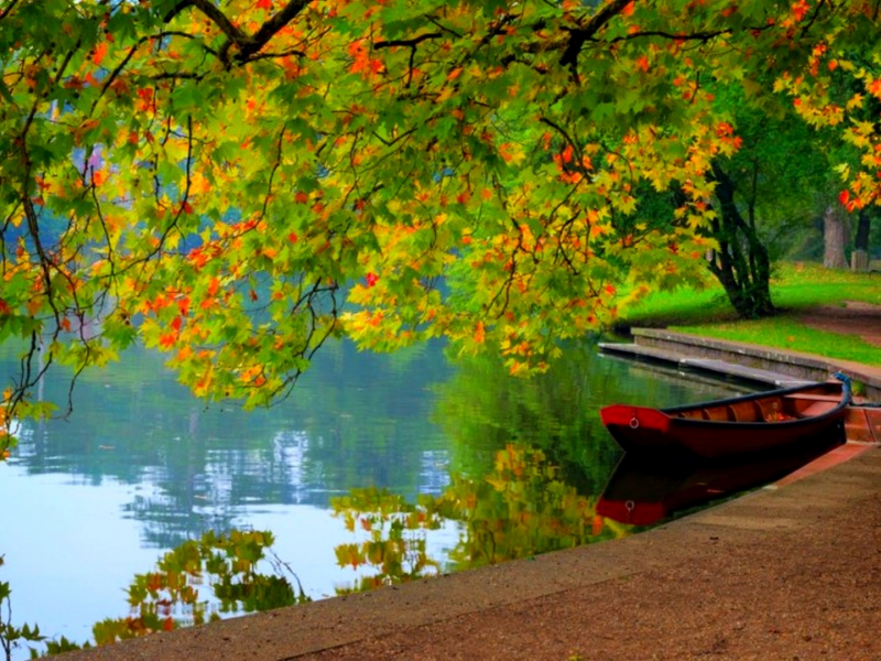 деревья, озеро, лодка, осень