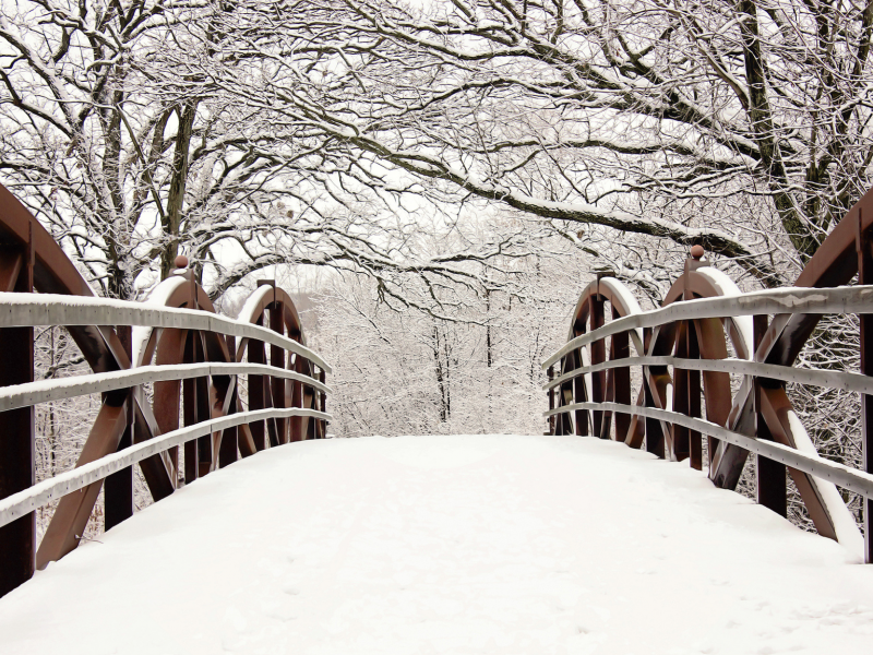 ветки, снег, мост, ограда, зима, деревья, природа