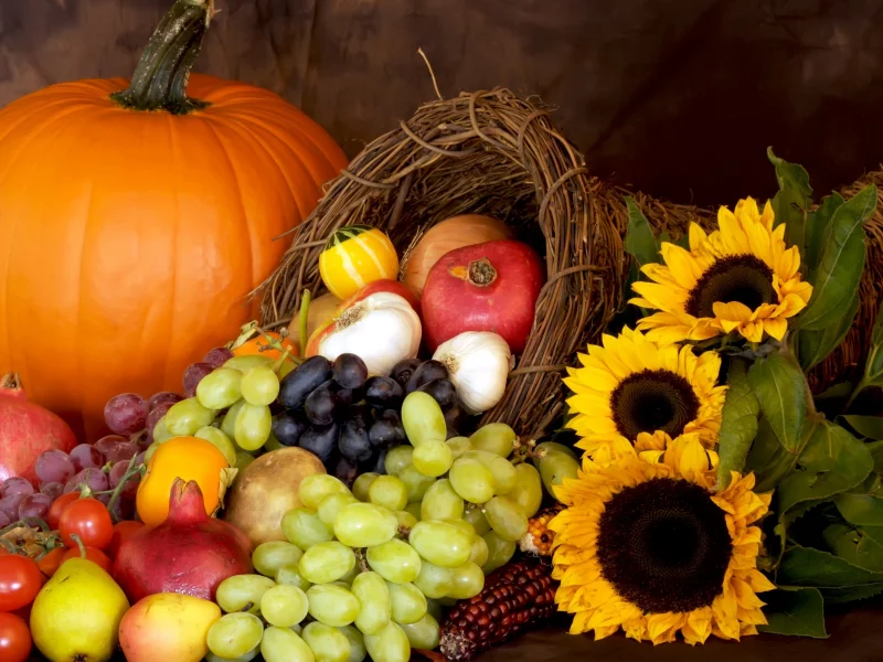 autumn, harvest, still life, fruits, leaves, pumpkin, nuts, осень, дистья, урожай, тыква