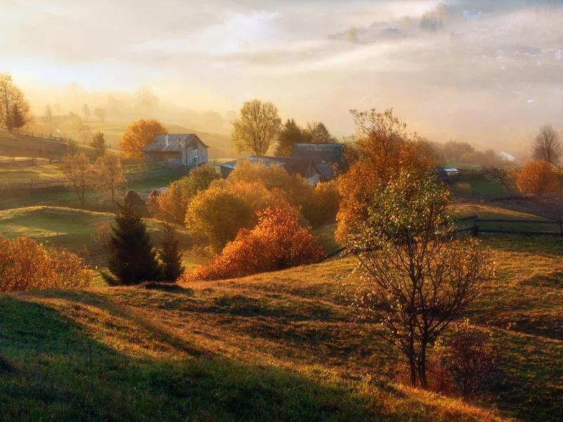 осень, село, околица, дымка, утро