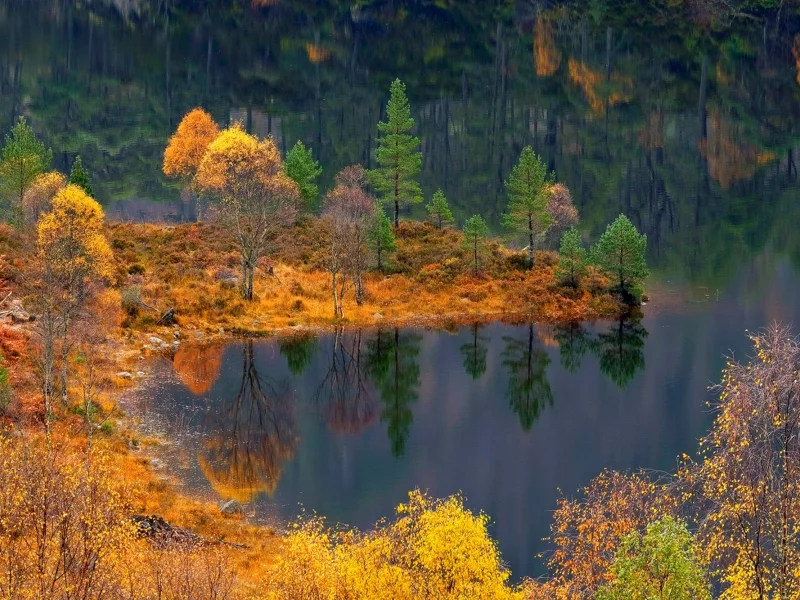 лес, осень, озеро