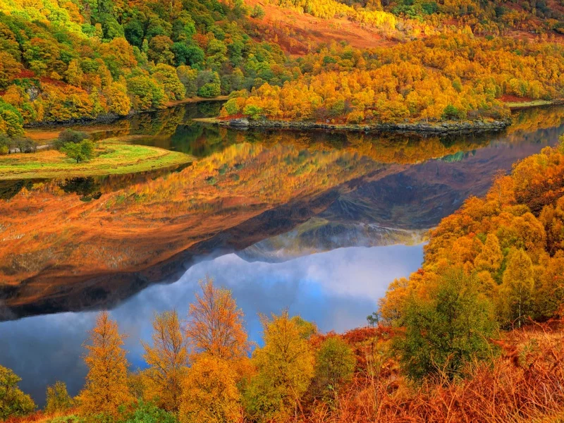 лес, осень, озеро