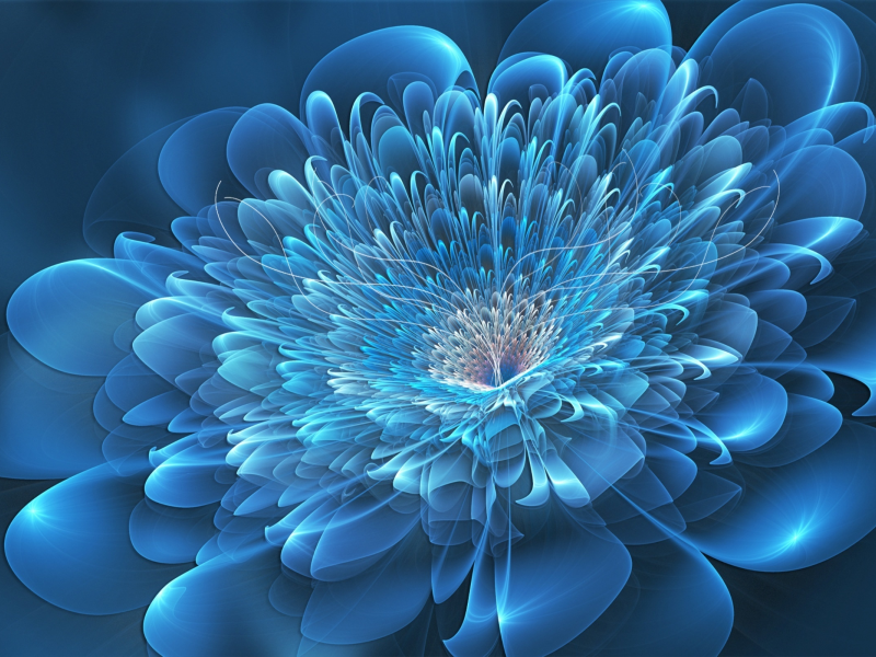 3D, Flower, Blue