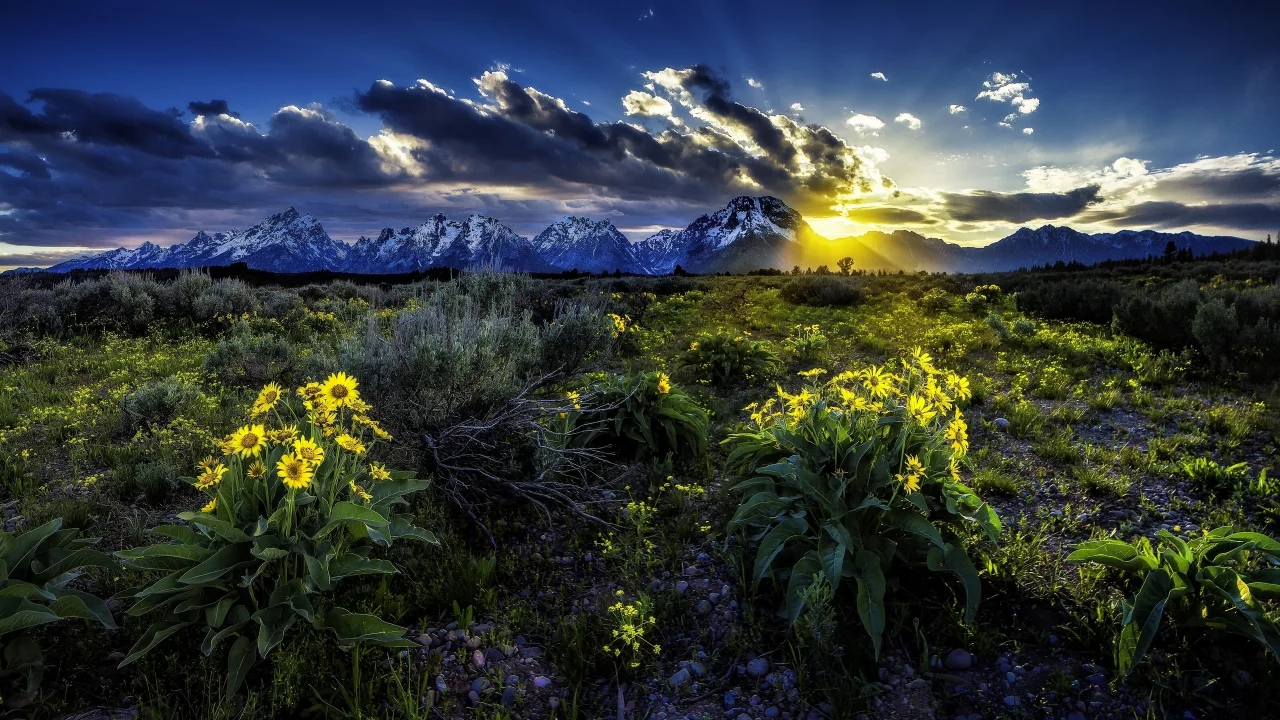 grand teton national park, rocky mountains, скалистые горы, wyoming