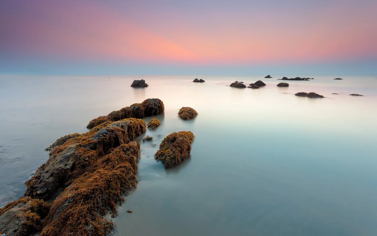 утро, водоросли, камни, рассвет, море