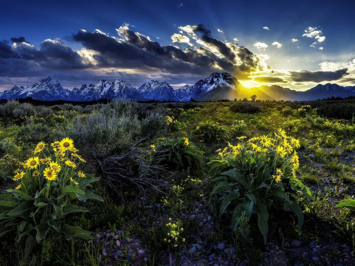 grand teton national park, rocky mountains, скалистые горы, wyoming