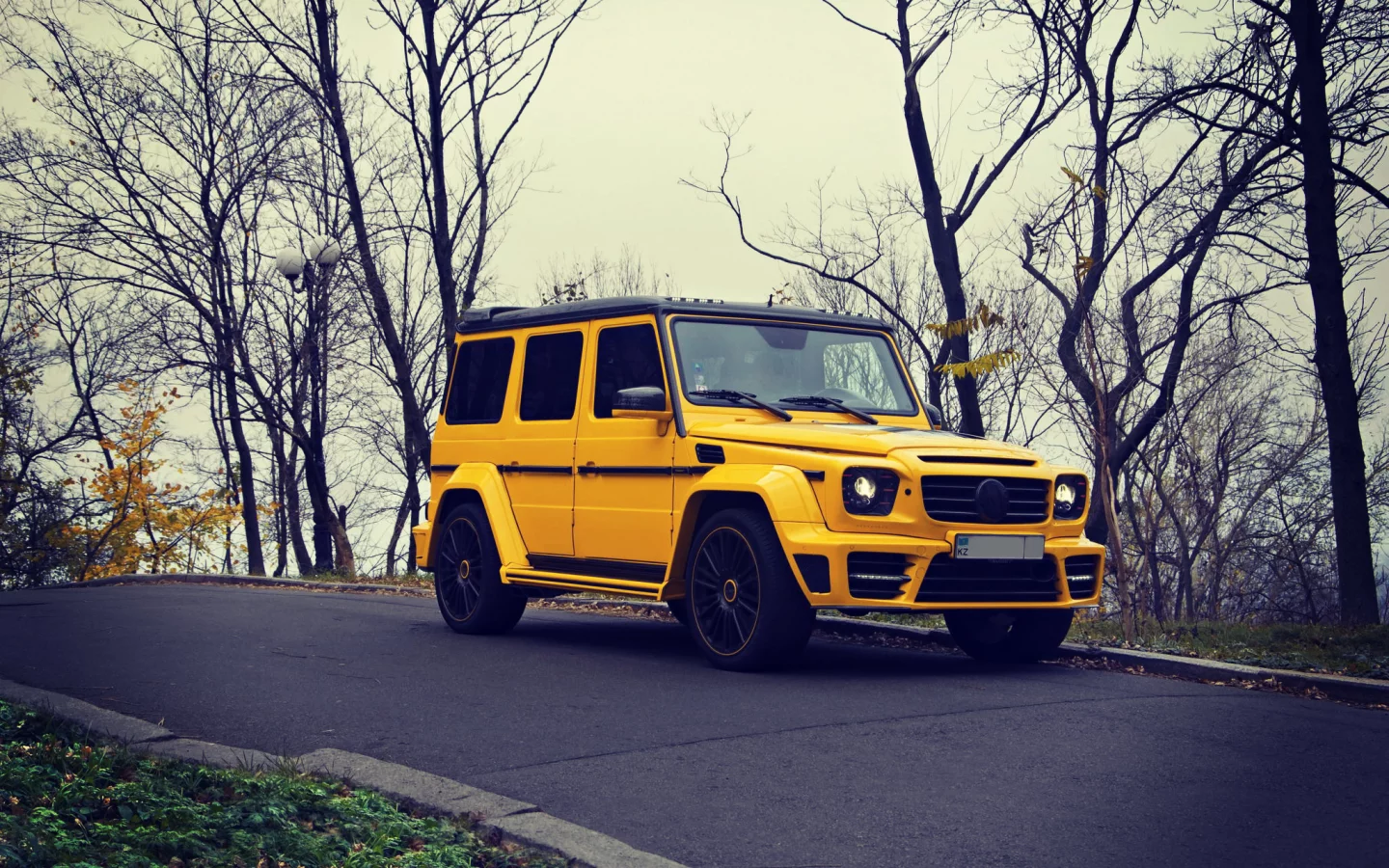 g63, brabus, внедорожник, mercedes benz, мерседес, желтый, осень