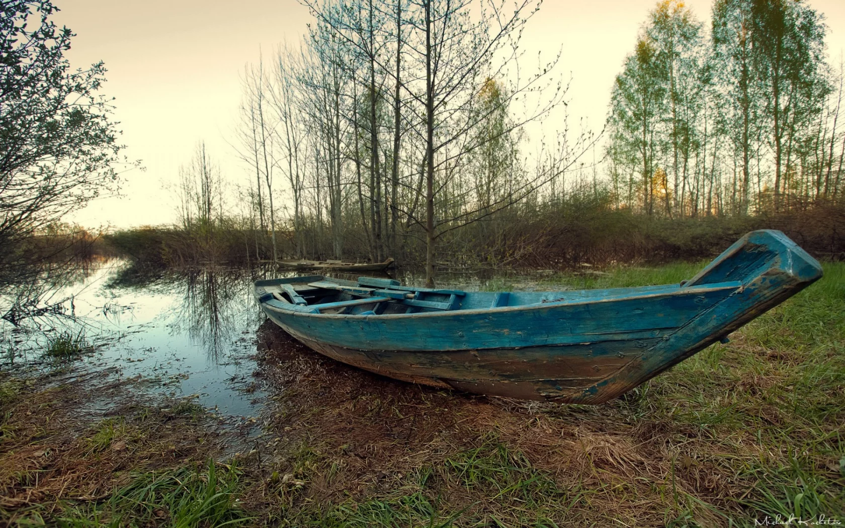 осень, озеро, плавни, лодка, деревья, камыши