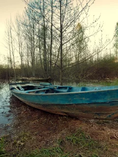 осень, озеро, плавни, лодка, деревья, камыши