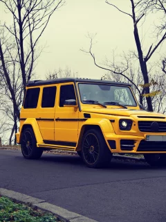 g63, brabus, внедорожник, mercedes benz, мерседес, желтый, осень